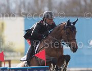 Chimirri B Valentino TosTour 2013- S5 7669 : Arezzo Equestrian Centre, Chimirri Bruno, Toscana Tour 2013, Valentino II, foto di Stefano Secchi ©